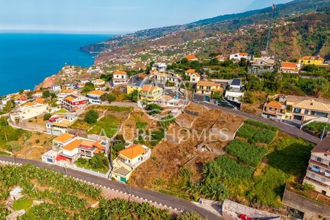 Maa Ribeira Bravassa, Madeira - kuva 3