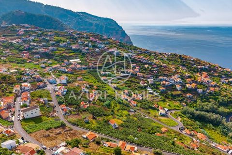 Maa Ribeira Bravassa, Madeira - kuva 4