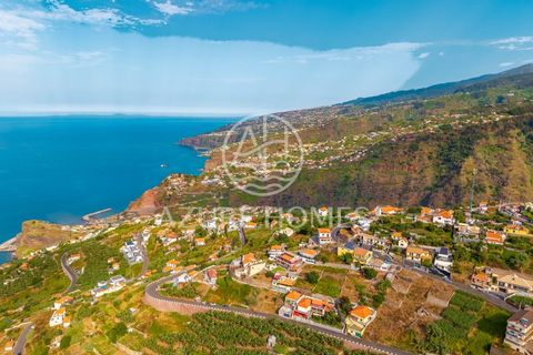 Maa Ribeira Bravassa, Madeira - kuva 5