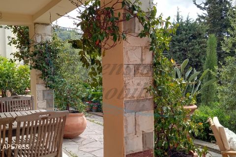 Villa a Santa Luce, Pisa, Santa Luce - € 415.000 | Ref: 1848 - foto 25