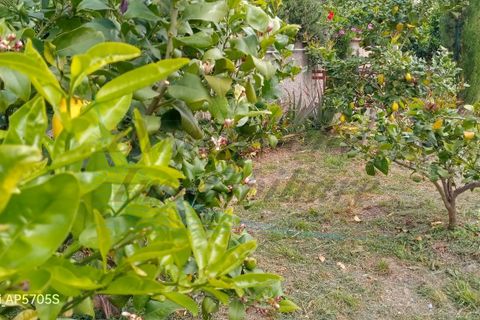 Villa a Santa Luce, Pisa, Santa Luce - € 415.000 | Ref: 1848 - foto 38