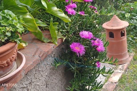 Villa a Santa Luce, Pisa, Santa Luce - € 415.000 | Ref: 1848 - foto 41