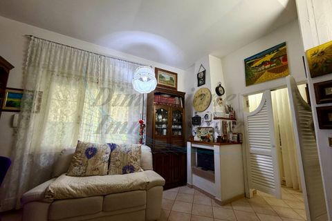 Villa a Rosignano Marittimo, Livorno, Rosignano Marittimo - € 475.000 | Ref: 1850 - foto 27