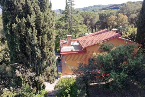 Villa i Rosignano Marittimo, Livorno, Rosignano Marittimo - € 750.000 | Ref: 1852 - foto 5