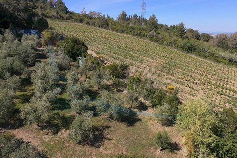 Villa i Rosignano Marittimo, Livorno, Rosignano Marittimo - € 750.000 | Ref: 1852 - foto 7