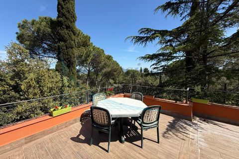 Villa i Rosignano Marittimo, Livorno, Rosignano Marittimo - € 750.000 | Ref: 1852 - foto 36