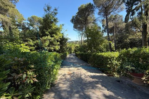Villa i Rosignano Marittimo, Livorno, Rosignano Marittimo - € 750.000 | Ref: 1852 - foto 43