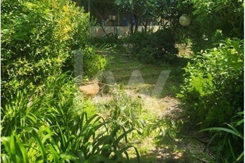 Helårsgrund i Cascais, Lisbon, Cascais - € 550.000 | Ref: KWPT-032223 - foto 3