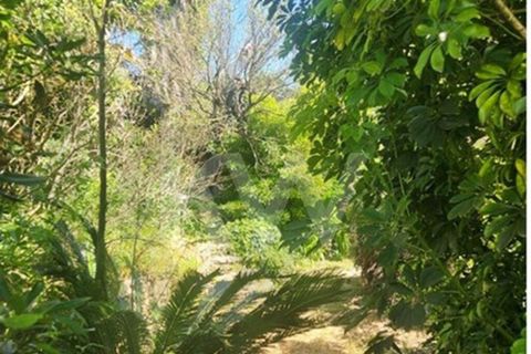Helårsgrund i Cascais, Lisbon, Cascais - € 550.000 | Ref: KWPT-032223 - foto 7