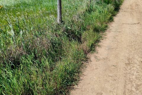 Terreno en Redondo, Evora, Redondo - € 57.000 | Ref: C0185-03293 - photo 1