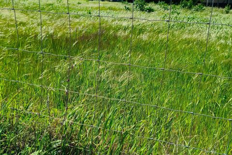 Terreno en Redondo, Evora, Redondo - € 57.000 | Ref: C0185-03293 - photo 6