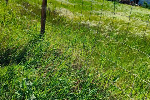 Terreno en Redondo, Evora, Redondo - € 57.000 | Ref: C0185-03293 - photo 7