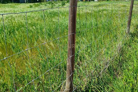 Terreno en Redondo, Evora, Redondo - € 57.000 | Ref: C0185-03293 - photo 8