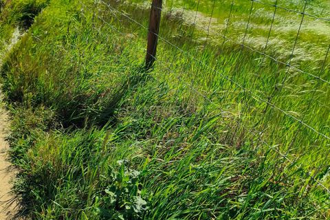 Terreno en Redondo, Evora, Redondo - € 57.000 | Ref: C0185-03293 - photo 10