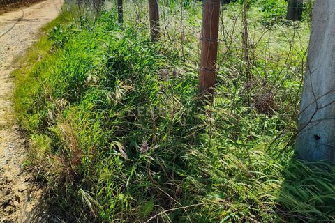 Terreno en Redondo, Evora, Redondo - € 57.000 | Ref: C0185-03293 - photo 11