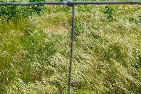 Terreno en Redondo, Evora, Redondo - € 57.000 | Ref: C0185-03293 - photo 12