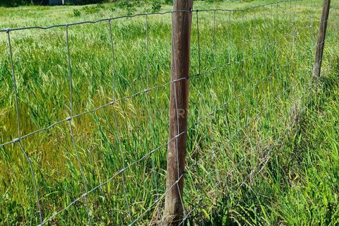 Terreno en Redondo, Evora, Redondo - € 57.000 | Ref: C0185-03293 - photo 13