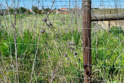 Terreno en Redondo, Evora, Redondo - € 57.000 | Ref: C0185-03293 - photo 14