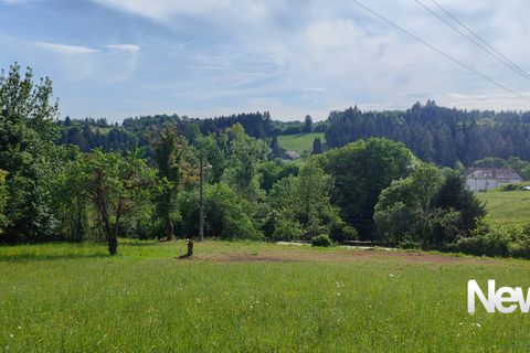 Terra a Tulle, Correze, Tulle - € 43.000 | Ref: PM-5401B - foto 4