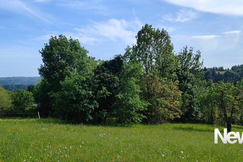Terra a Tulle, Correze, Tulle - € 43.000 | Ref: PM-5401B - foto 5