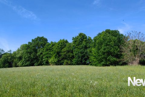 Terra a Tulle, Correze, Tulle - € 43.000 | Ref: PM-5401B - foto 6