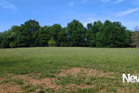 Terra a Tulle, Correze, Tulle - € 43.000 | Ref: PM-5401B - foto 7