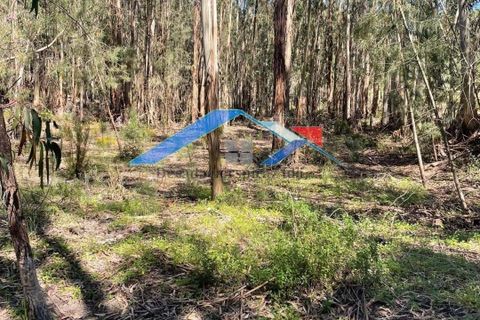 Helårsgrund i Coruche, Santarem, Coruche - € 50.000 | Ref: 101F.Pelados/Branca - foto 2