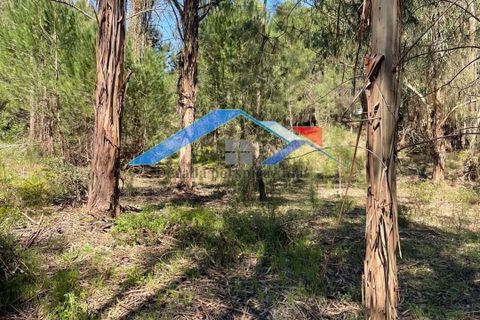Helårsgrund i Coruche, Santarem, Coruche - € 50.000 | Ref: 101F.Pelados/Branca - foto 3