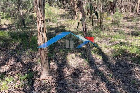 Helårsgrund i Coruche, Santarem, Coruche - € 50.000 | Ref: 101F.Pelados/Branca - foto 4