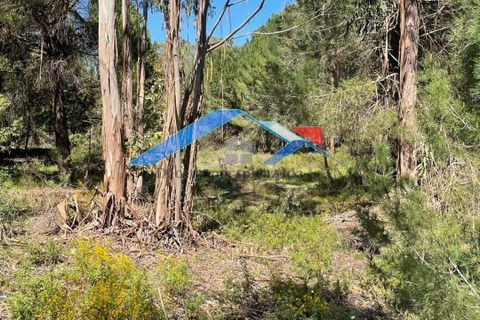 Helårsgrund i Coruche, Santarem, Coruche - € 50.000 | Ref: 101F.Pelados/Branca - foto 5