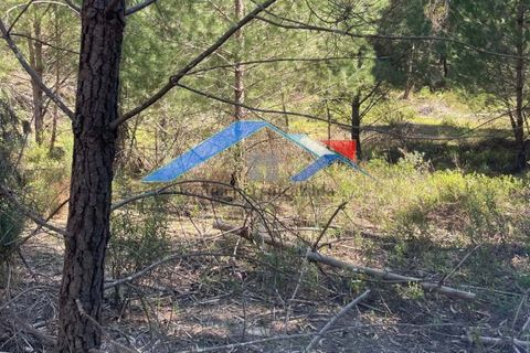 Helårsgrund i Coruche, Santarem, Coruche - € 50.000 | Ref: 101F.Pelados/Branca - foto 6