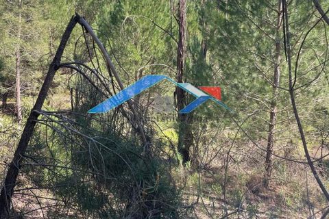 Helårsgrund i Coruche, Santarem, Coruche - € 50.000 | Ref: 101F.Pelados/Branca - foto 7