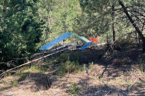 Helårsgrund i Coruche, Santarem, Coruche - € 50.000 | Ref: 101F.Pelados/Branca - foto 8