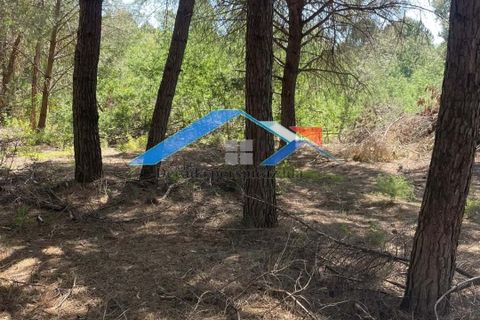 Helårsgrund i Coruche, Santarem, Coruche - € 50.000 | Ref: 101F.Pelados/Branca - foto 9