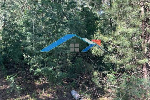 Helårsgrund i Coruche, Santarem, Coruche - € 50.000 | Ref: 101F.Pelados/Branca - foto 10