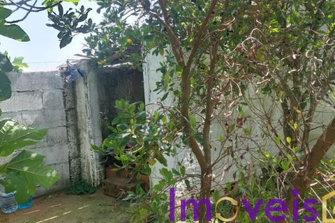 Helårsgrund i Castro Verde, Beja, Castro Verde - € 50.000 | Ref: TE -2026 / T HE - foto 3