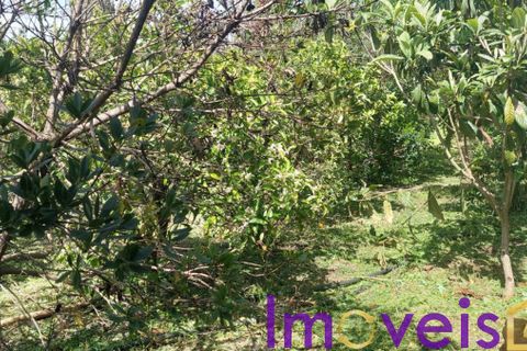 Helårsgrund i Castro Verde, Beja, Castro Verde - € 50.000 | Ref: TE -2026 / T HE - foto 4
