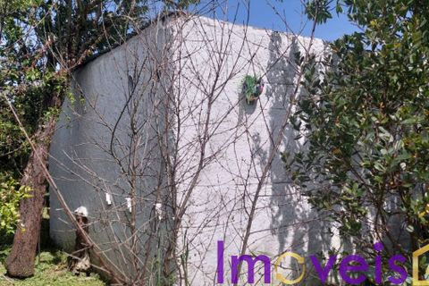 Helårsgrund i Castro Verde, Beja, Castro Verde - € 50.000 | Ref: TE -2026 / T HE - foto 6