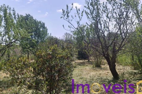 Helårsgrund i Castro Verde, Beja, Castro Verde - € 50.000 | Ref: TE -2026 / T HE - foto 8