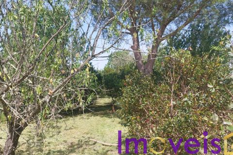 Helårsgrund i Castro Verde, Beja, Castro Verde - € 50.000 | Ref: TE -2026 / T HE - foto 10
