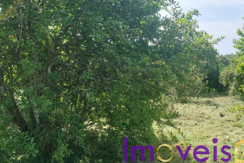 Helårsgrund i Castro Verde, Beja, Castro Verde - € 50.000 | Ref: TE -2026 / T HE - foto 12