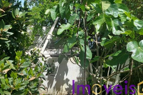 Helårsgrund i Castro Verde, Beja, Castro Verde - € 50.000 | Ref: TE -2026 / T HE - foto 14