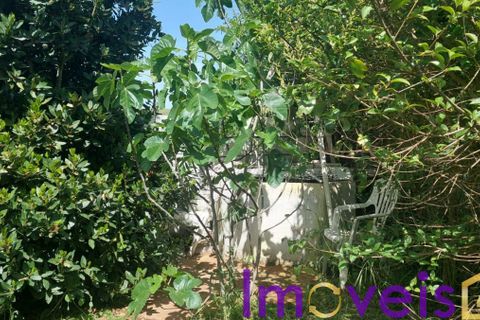 Helårsgrund i Castro Verde, Beja, Castro Verde - € 50.000 | Ref: TE -2026 / T HE - foto 15