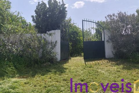 Helårsgrund i Castro Verde, Beja, Castro Verde - € 50.000 | Ref: TE -2026 / T HE - foto 17