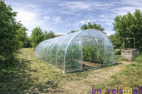 Helårsgrund i Castro Verde, Beja, Castro Verde - € 50.000 | Ref: TE -2026 / T HE - foto 18