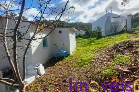 Villa a Almodovar, Beja, Almodovar - € 260.000 | Ref: TE -2026 / M T4  FF - foto 33