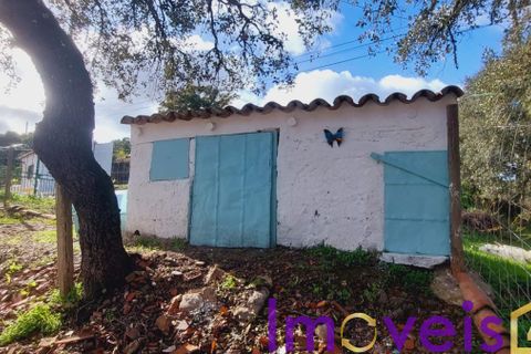Villa a Almodovar, Beja, Almodovar - € 260.000 | Ref: TE -2026 / M T4  FF - foto 34