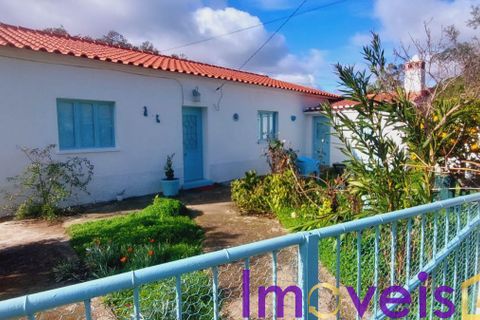 Villa a Almodovar, Beja, Almodovar - € 260.000 | Ref: TE -2026 / M T4  FF - foto 45