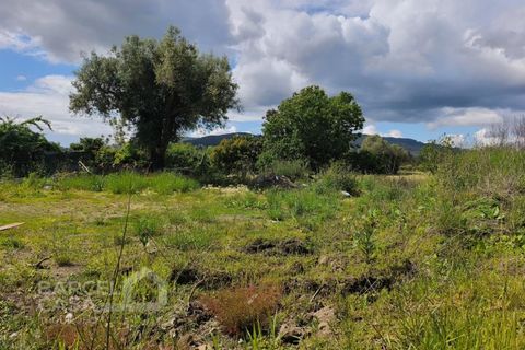Helårsgrund i Barcelos, Braga, Barcelos - € 55.000 | Ref: 101/26 - foto 2