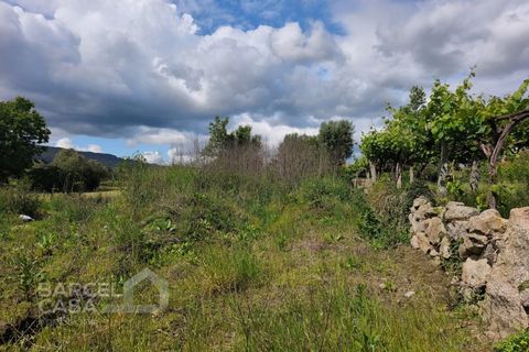 Helårsgrund i Barcelos, Braga, Barcelos - € 55.000 | Ref: 101/26 - foto 3